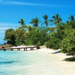 Saona Island from Punta Cana with Transportation and Lunch Included - Final Thoughts