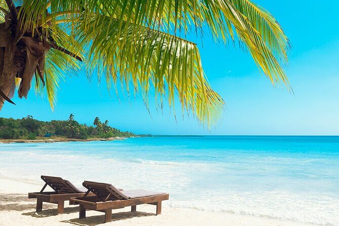 Saona Island From Punta Cana - What Makes This Tour Stand Out?