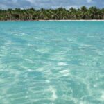 Saona Island Full-Day Tour from Santo Domingo with Pickup - Who This Tour Is Perfect For