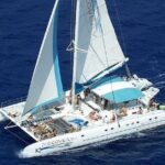 Saona island full day tours - catamarán party from santo domingo - Who Is This Tour Best For?