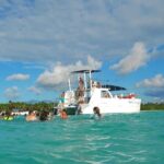 Saona Island Luxury Full Day Catamara Food Drink in Punta Cana - Whats Included and Whats Not