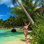 Saona Island, memorable all-inclusive experience, from Santo Domingo. - The Sum Up