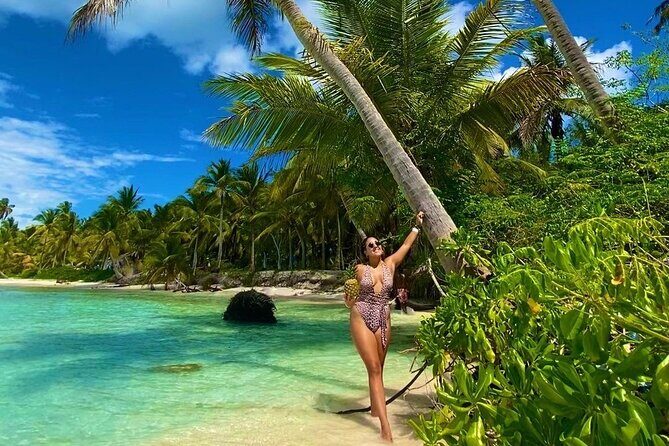 Saona Island, memorable all-inclusive experience, from Santo Domingo. - The Sum Up  