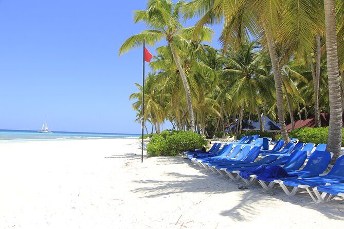 Saona Island Private Boat Tour with Lunch and Beverages - Transportation and Duration