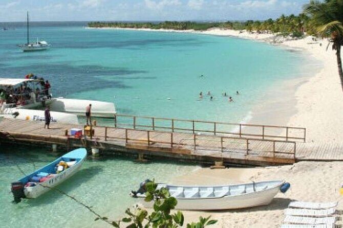 Saona Island Tour from Punta Cana with Lunch, Open Bar & Pickup - Authentic Insights from Reviewers