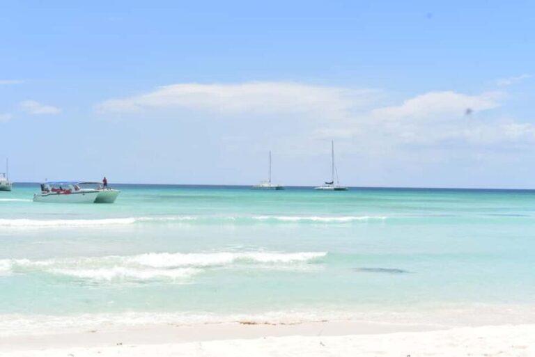 Saona Island Tour from Santo Domingo with Lunch - What Sets This Tour Apart?