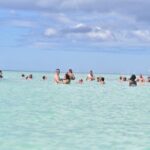 Saona Island Tour in Punta Cana - Experience Breakdown: What to Expect