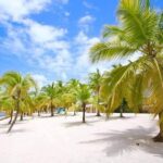 Saona VIP Mano Juan and Three Beaches Tour - Pricing and Value