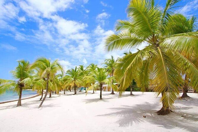 Saona VIP Mano Juan and Three Beaches Tour - Pricing and Value