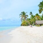 Saône Catamaran Island - speedboat, open bar and lunch - What You Need to Know: Practical Details and Tips