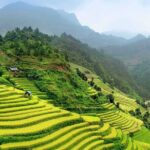 Sapa 2 Days 2 Nights Homestay Motorbike Tour - An In-Depth Look at the Journey