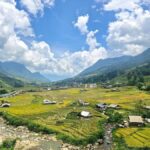Sapa : Muong Hoa Valley 1 Day Trek  Stunning Rice Terraces - Trek Through the Rice Terraces and Bamboo Groves