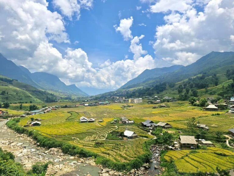 Sapa : Muong Hoa Valley 1 Day Trek Stunning Rice Terraces - Trek Through the Rice Terraces and Bamboo Groves