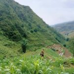 Sapa: T Van to Su Pan Guided Trek with Local Guide - The Journey: What to Expect and Why It Matters