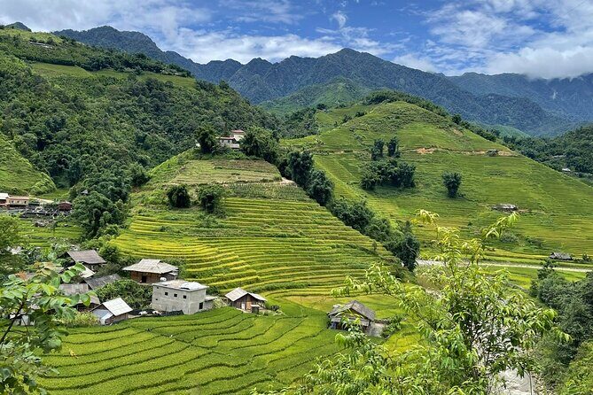 Sapa Trekking and Homestay Overnight 2 Days 1 Night - An In-Depth Look at the Sapa Trekking and Homestay Tour