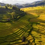 Sapa: Y Linh Ho, Muong Hoa Valley Trek & Village Experience - Detailed Breakdown of the Experience