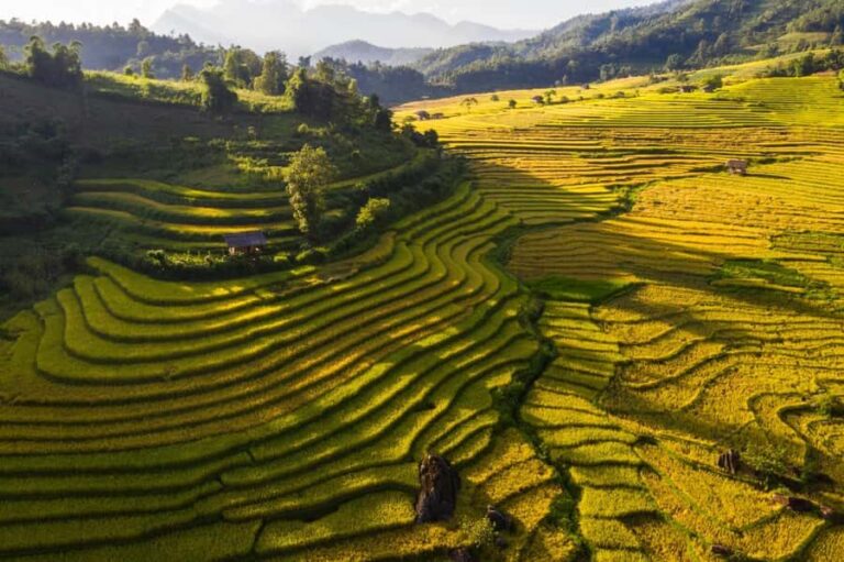 Sapa: Y Linh Ho, Muong Hoa Valley Trek & Village Experience - Detailed Breakdown of the Experience