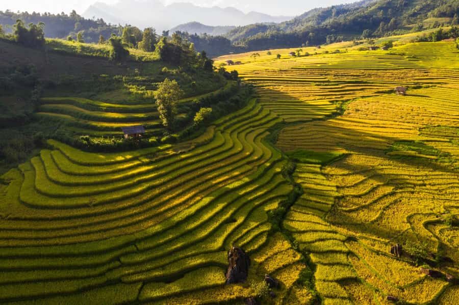 Sapa: Y Linh Ho, Muong Hoa Valley Trek & Village Experience - Detailed Breakdown of the Experience