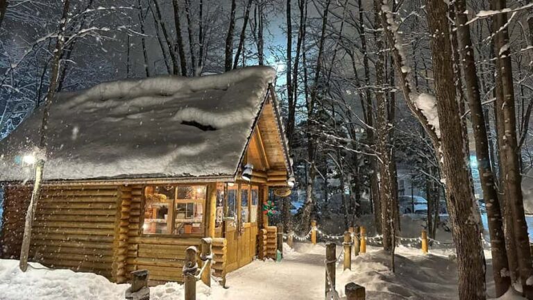 Sapporo: Asahikawa,Biei and Furano day Tour in small group - What to Expect from this Tour