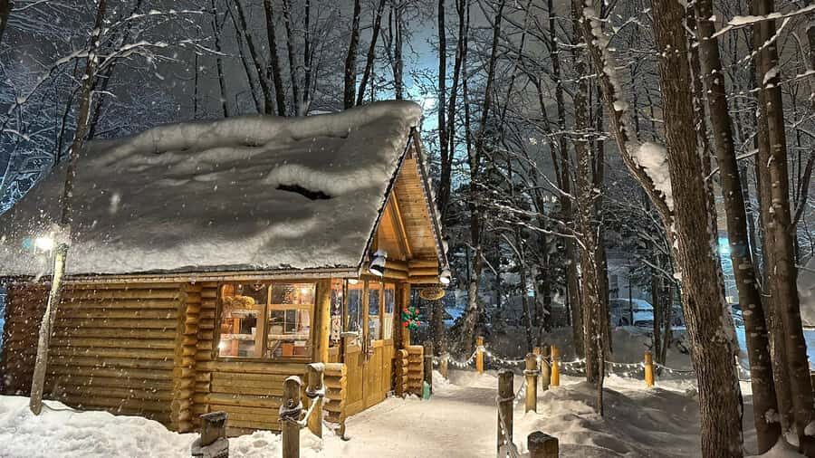 Sapporo: Asahikawa,Biei and Furano day Tour in small group - What to Expect from this Tour