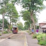 Sapporo: Hokkaido Historical Village, Step into the Frontier - Who Is This Tour Best For?