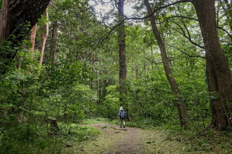 Sapporo: Mt. Maruyama Hike & Okurayama Ski Jump - The Summit & Views