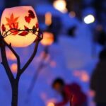 Sapporo: Otaru Snow Light Path Festival Private Day Trip - The Itinerary Breakdown