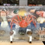 Sapporo: Private Fish Markets and City Highlights Tour - Who Should Book This Tour?