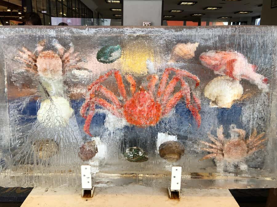 Sapporo: Private Fish Markets and City Highlights Tour - Who Should Book This Tour?