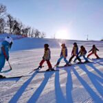 Sapporo: Private Ski & Snowboard Lesson for Small Group - Location and Resorts