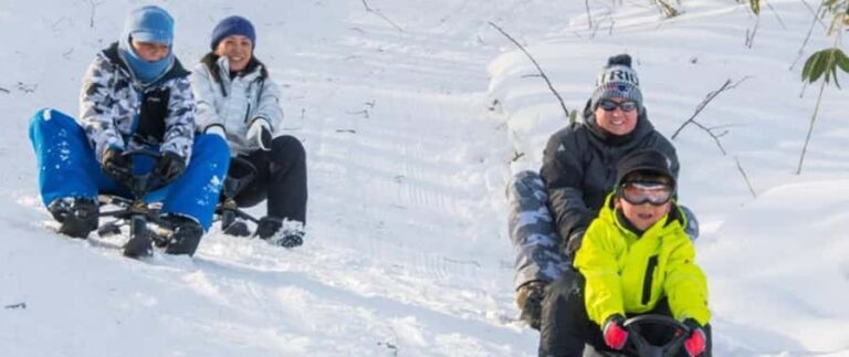 Sapporo: Snow Park, Snowmobile, and BBQ Experience - The Snowmobile Experience: Speed and Scenic Views