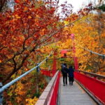 Sapporo: The Indigenous Ainu People & Jozankei walking tour - The Experience Through Reviews