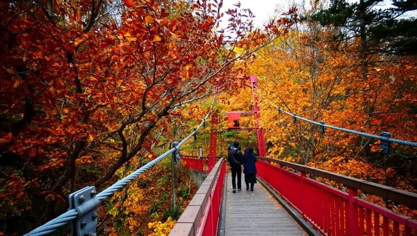 Sapporo: The Indigenous Ainu People & Jozankei walking tour - The Experience Through Reviews