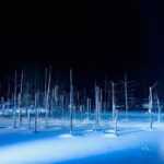 Sapporo to Blue Pond & Shirahige Falls Furano Private Tour - Final Thoughts