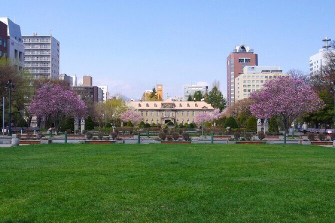 Sapporo Walking Tour: Explore Top Sights & Hidden Gems - Practical Details and Value  