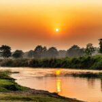 Sauraha: Rapti River Sunset & Tharu Cultural Dance Tour - Detailed Breakdown of the Itinerary