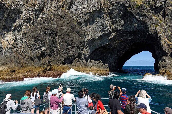 Scenic Bay of Islands Escape: Private Full-Day Tour from Auckland - What Sets This Tour Apart?