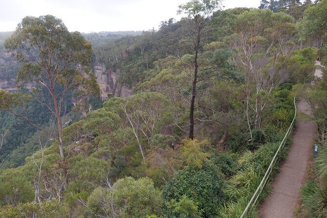 Scenic Blue Mountains 2-Day Shared Tour - Accommodation Options and Value