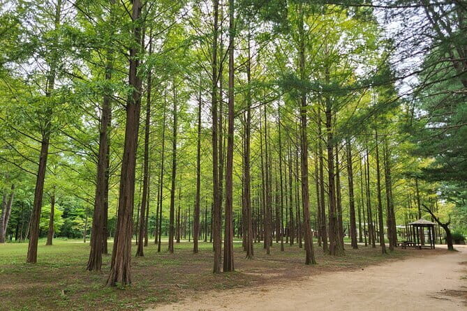 Scenic Escape: Nami Island, Garden of Morning Calm, and Rail Bike - FAQs