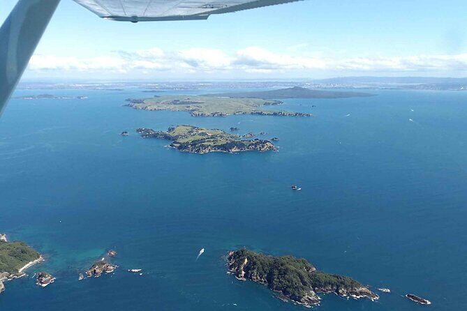 Scenic Flight Tour Around Waiheke Island - The Pros and Cons: Weighing the Experience