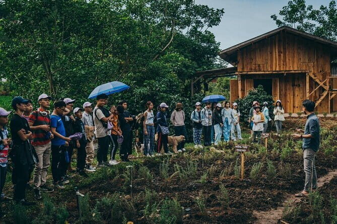 Scented Candle Workshop in Twin Beans Farm Da Lat - Price and Value