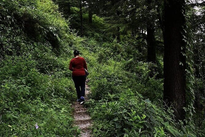 School Boy Walk - What Makes It Special  