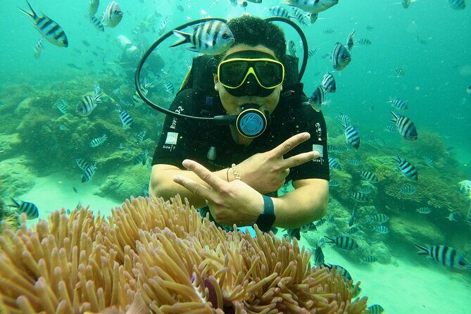 Scuba Diving Adventure and Coral Reefs in Nha Trang - The Real Value: What You’re Getting for $85