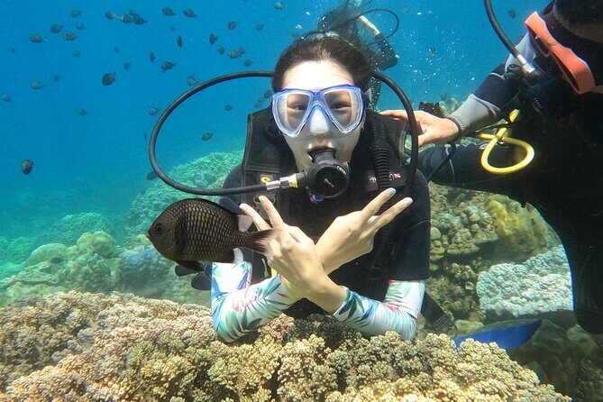 Scuba Diving Experience in Nha Trang Bay - What’s Included and What to Consider