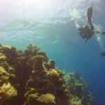 Scuba Diving in Pasikudah - What to Expect During Your Tour