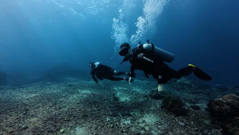 Scuba diving/snorkeling in Nusa Penida with manta rays - Who Would Love This Tour?