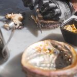 Sea to Sky Dark Sky Cruise Experience in Tasmania - What the Tour Entails