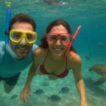 Sea Turtle Snorkel Tour - What to Expect: The Day in Brief