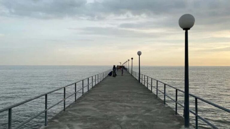 Seaside Charms & Eco Discoveries: Morib to Bagan Lalang - Who Should Consider This Tour?