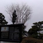 Seasonal Splendor  Kyoto Cherry Blossoms (Spring Only) - Final Thoughts